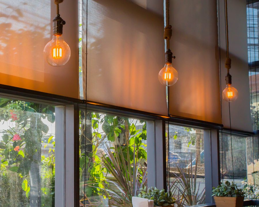 Sunscreen roller blinds keeping the view through a planted conservatory